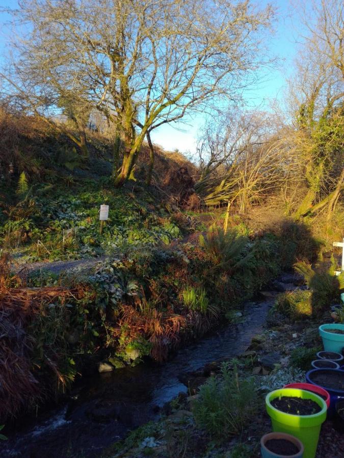 Streamside B And B With Parking Drimoleague エクステリア 写真