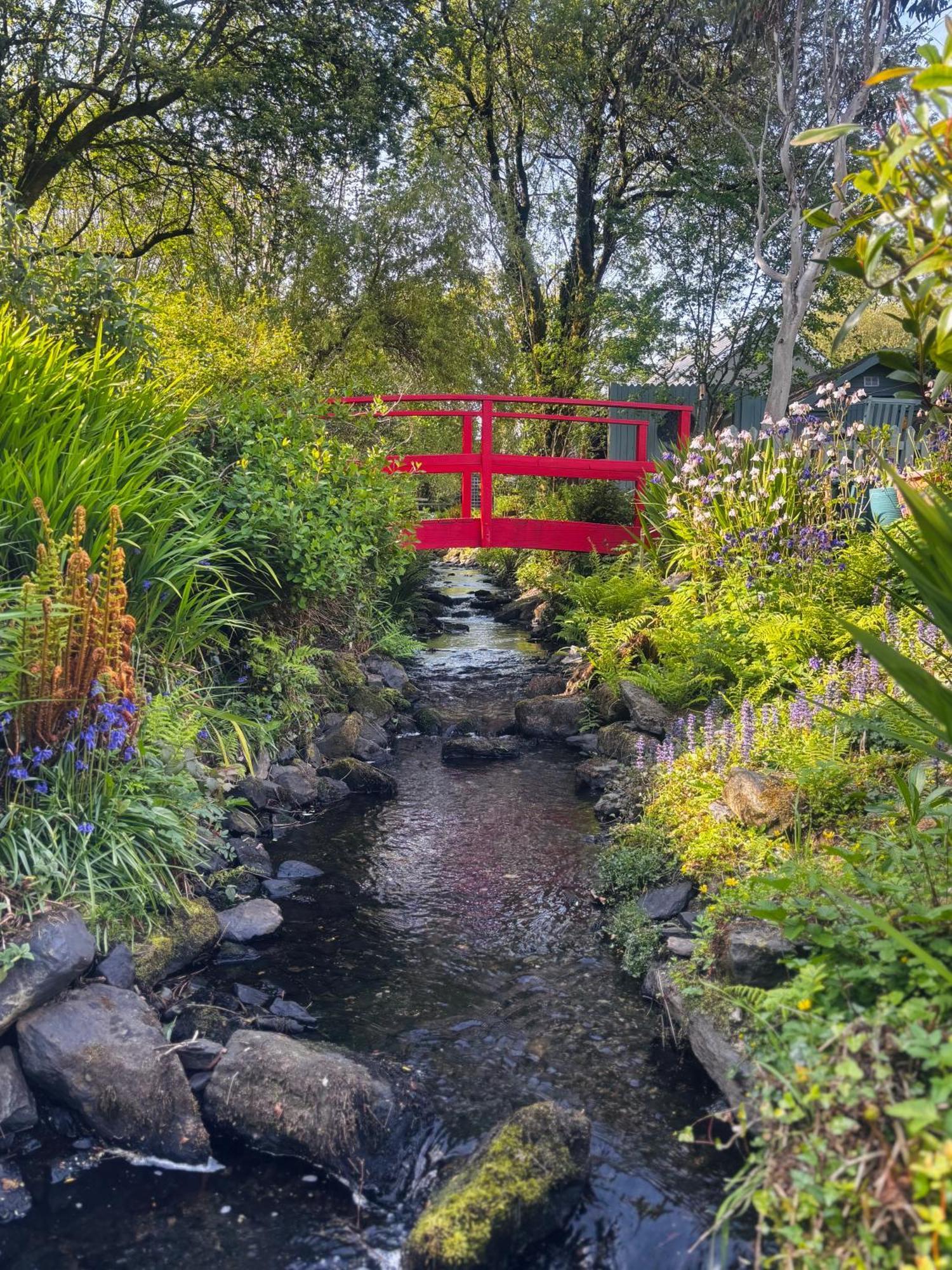 Streamside B And B With Parking Drimoleague エクステリア 写真